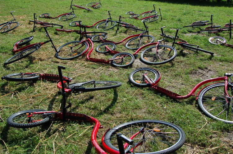 Beveiligd: 25 jaar getrouwd: steppen